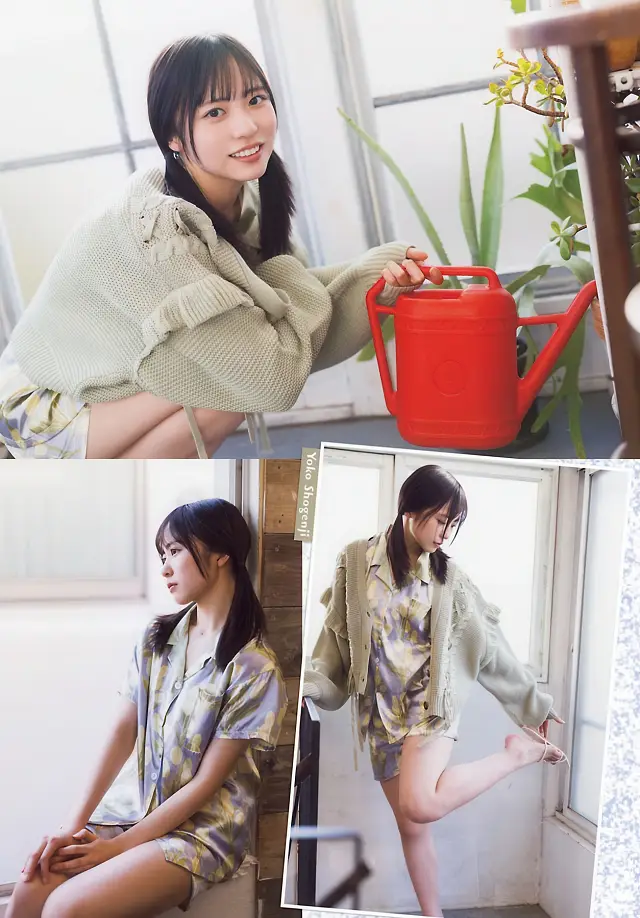 요코 쇼겐지 소년 챔피언 2026년 8호