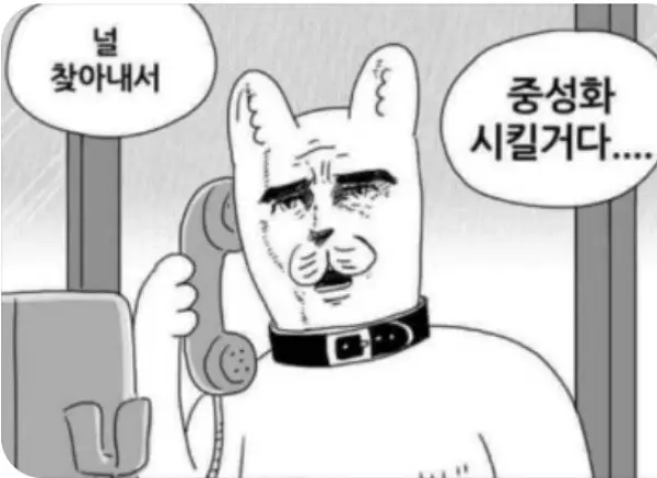 국제결혼 현실