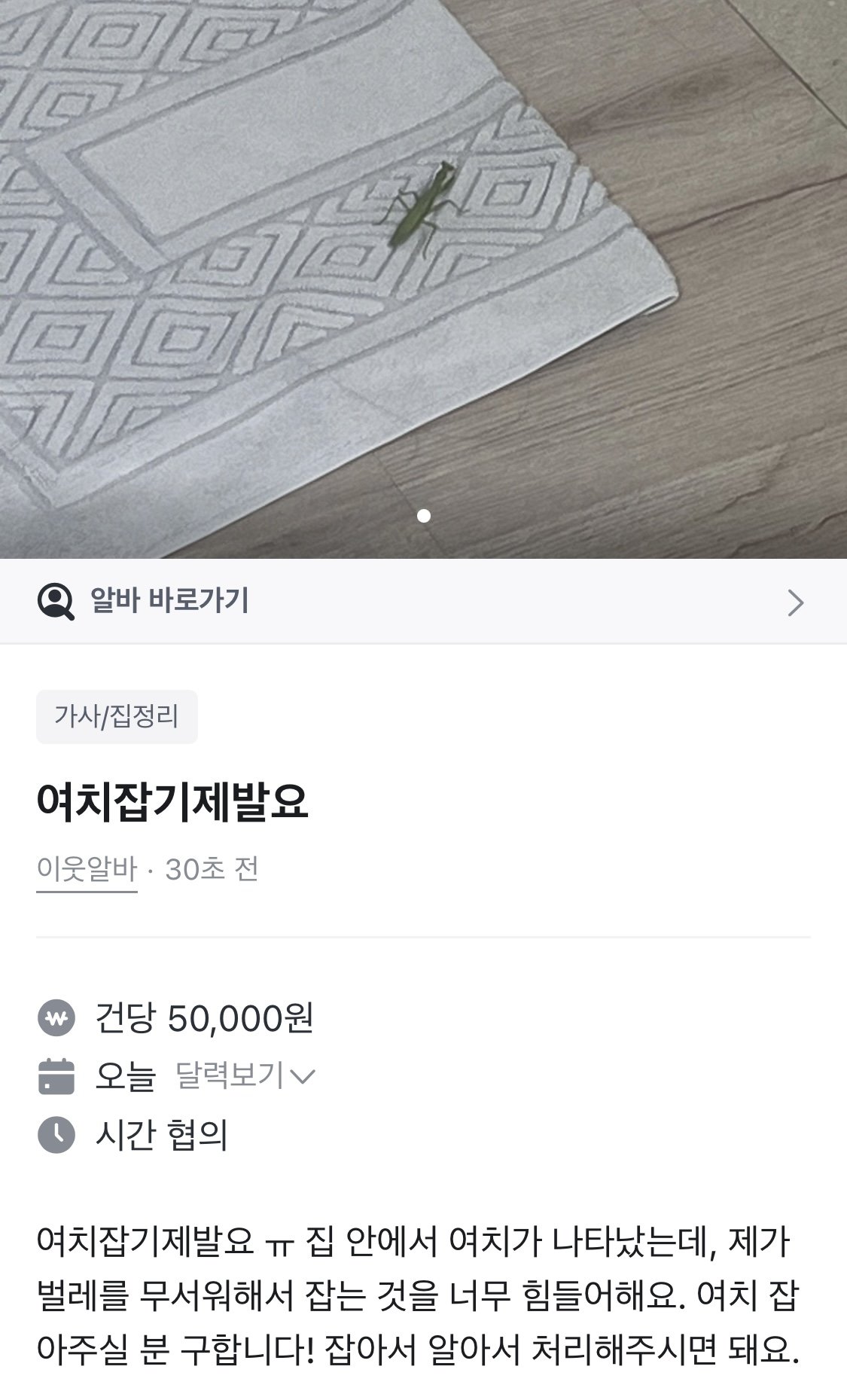 여치 잡아주시면 5만원 드립니다