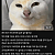 모비노기에서 화제였던 순서지킬것 사건