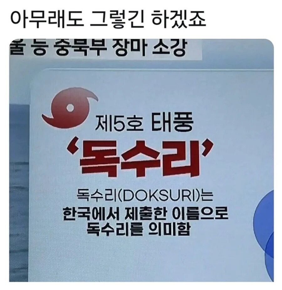 독수리가 가진 의외의 뜻